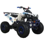 X-Pro 125cc Gass ATV