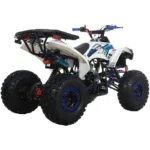 125c1-1.webp