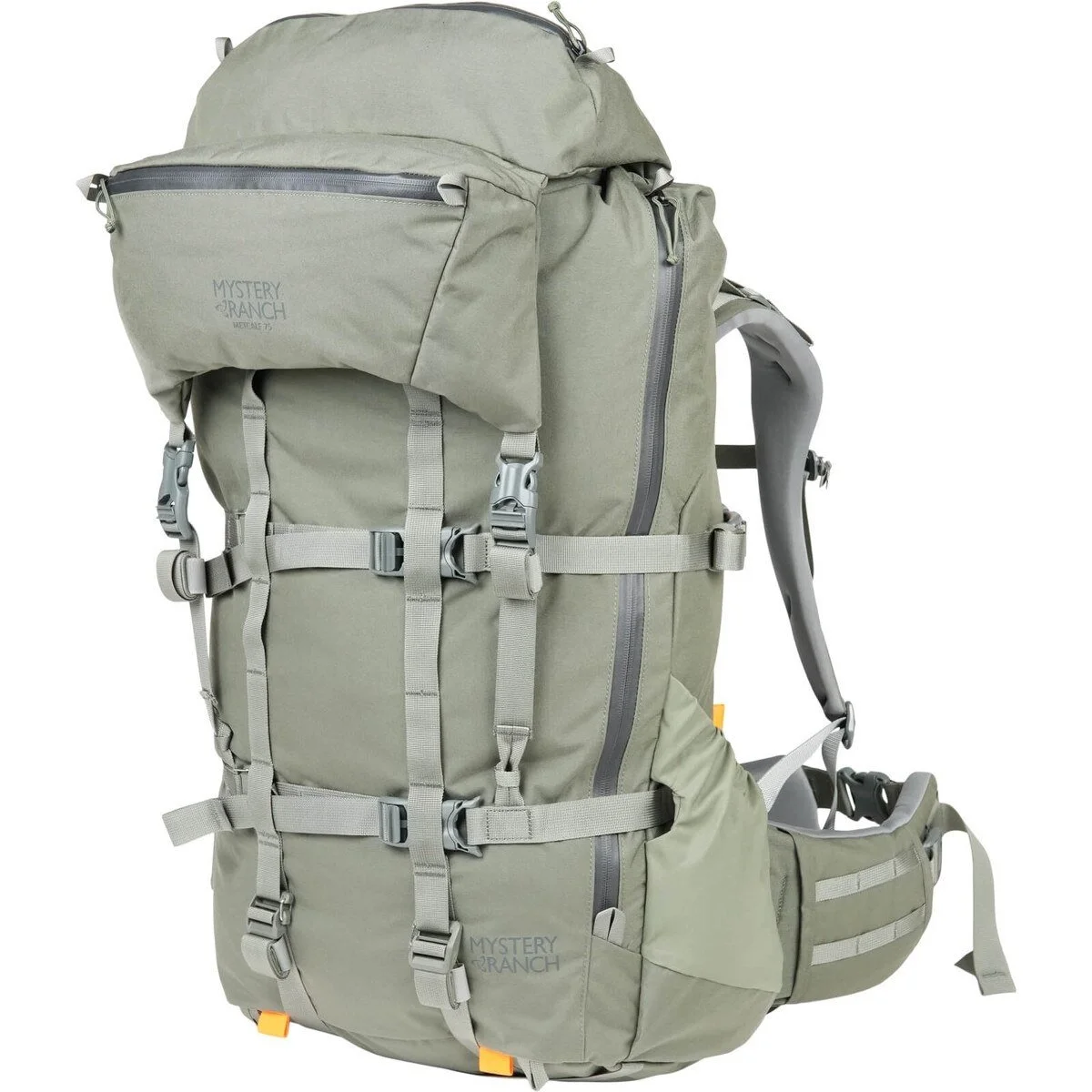 gogv3-1.webp