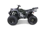 tao2501-2.webp