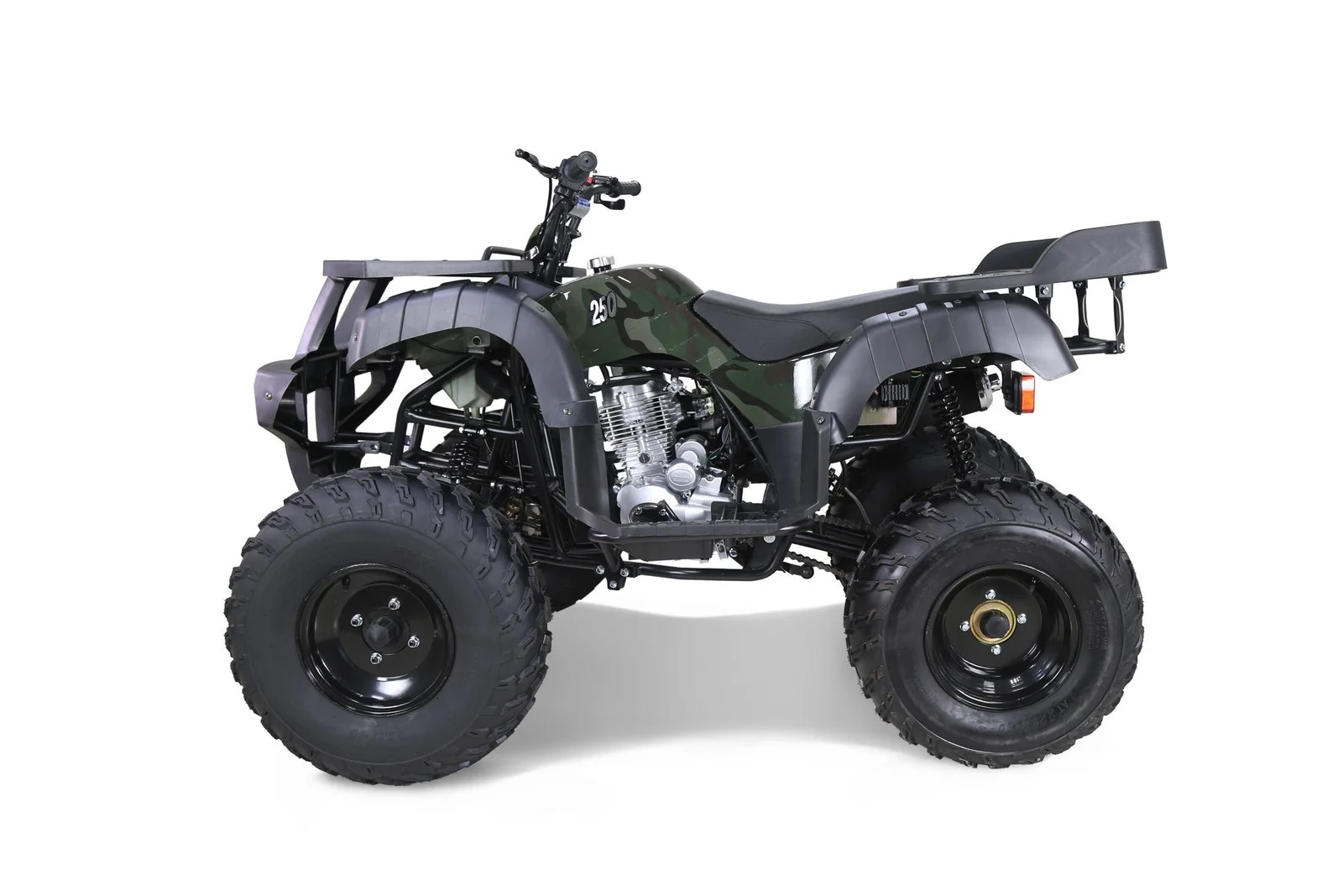 tao2502-1.webp