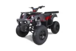 tao2501-2.webp