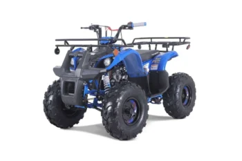 TaoTao T-Force T125 4-Wheeler All-Terraiin Vehicle ATV